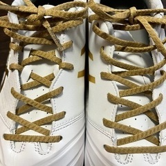 asics DS LIGHT WIDE 27.0の画像