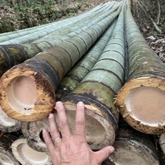 週末ワーカー募集中！周南市　学生さんも歓迎
