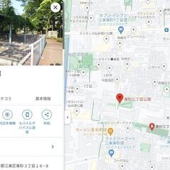 大人気！カブトムシ　成虫　１匹３００円　２匹５００円の画像