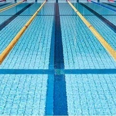 水泳仲間募集！🏊