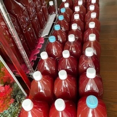 光合成細菌バクテリアPSB🐟🥦🌺　　　　10ℓ（2ℓ✖️5本）
