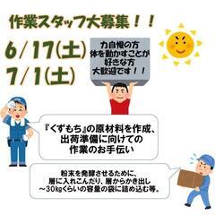 7/29★作業スタッフ★知念