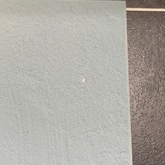 エコカラットプラス フェミーナグレイッシュブルー11枚　スーパーエコヌールの画像