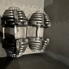 可変ダンベル40キロセットの画像