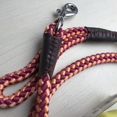 犬　散歩紐　リード　の画像