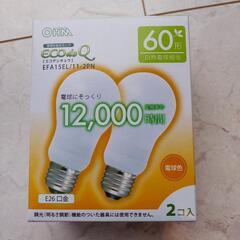 電球　60型2個