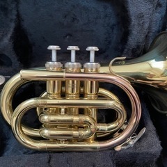 ポケットトランペット Jマイケル TR-350PL