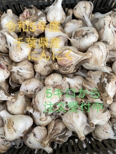 にんにく 20キロ