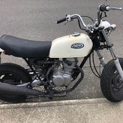 エイプ50cc