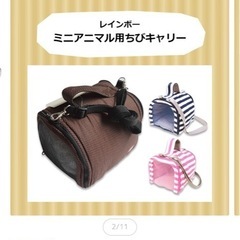 ハリネズミ用キャリーケースの画像