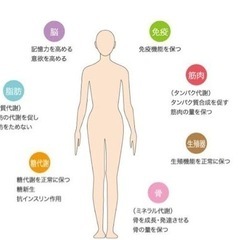 【6/19 20時〜】HGHの勉強会/リアル、オンラインどちらも可◎