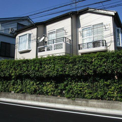 ✨敷金/礼金0円 ✨ 初期安物件💥保証人不要・ 金融ブラック・水...