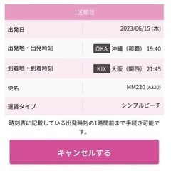 6/15(木)【沖縄→関西】片道　(女性名義)