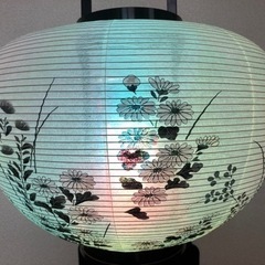 本場岐阜　回転大内提灯菊模様　電気コード式一張り　未使用品の画像
