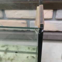 【水槽】42cmガラス水槽の飼育セット(照明有り) の画像