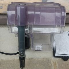 【水槽】42cmガラス水槽の飼育セット(照明有り) の画像