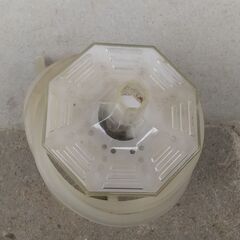 【水槽】42cmガラス水槽の飼育セット(照明有り) の画像