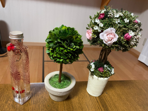観葉植物 ドライフラワー 3つセット