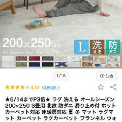カーペット