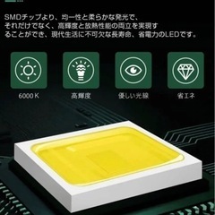 【新品未使用】植物育成ライト LED 植物ライト 20W 育成用ledライト 6000K 白色系 栽培ライト フルスペクトル 日照不足解消 植物用ledライト COB素子 高演色性 放熱効率アップ 低消耗 省エネ 長寿命 植物 観葉植物 多肉 家庭菜園 (White)の画像