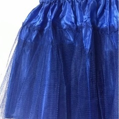 チュチュの画像