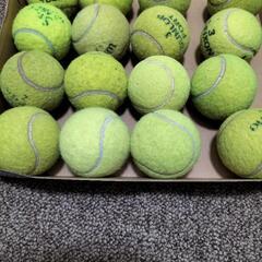 テニスボール10球の画像