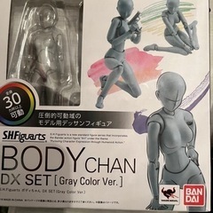  ボディちゃん