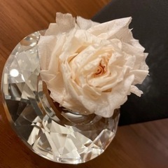 バラ(生)置き物