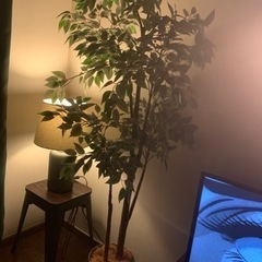 【受付終了】人工観葉植物　フェイクグリーン