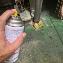 ゴキブリ 蜂 毛虫 ムカデなどの駆除します。8000円～ − 鹿児島県