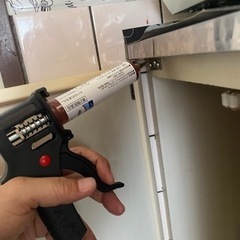 ゴキブリ 蜂 毛虫 ムカデなどの駆除します。8000円～ - 鹿児島市