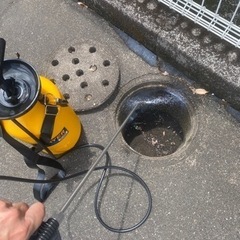 ゴキブリ 蜂 毛虫 ムカデなどの駆除します。8000円～ - 害虫/害獣駆除