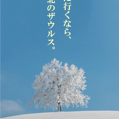 【ツーリング・旅行プランお手伝いします!!】北海道・九州（鹿児島）