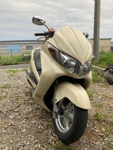 決まりました！