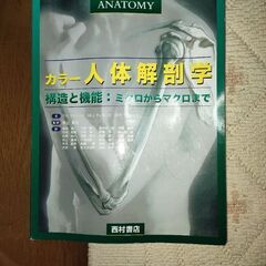 カラー人体解剖学