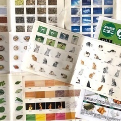 ★正規購入品★著作権フリーの素材データ集　7種の画像