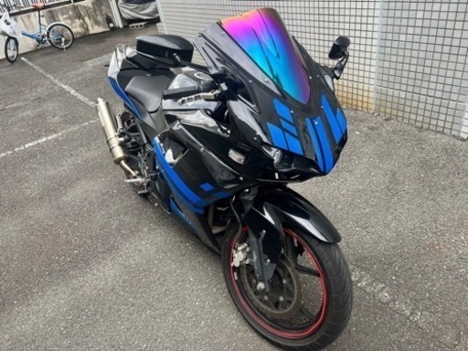 ニンジャ250R   フロント才谷屋