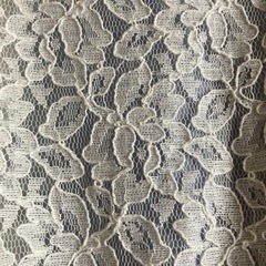 白レース生地のお洒落ジャンパーの画像