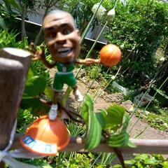 NBAフィギュアの画像