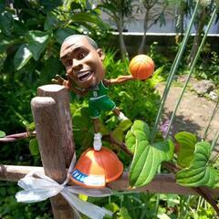 NBAフィギュアの画像