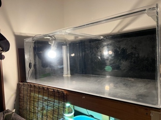 決まりました！大型アクリル水槽　1200✖️600✖️450 アクアリウム　爬虫類　熱帯魚　古代魚などに！