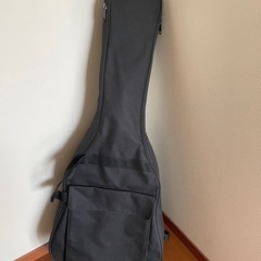 kaalena ka-sa カーレナエレキ　セミアコの画像