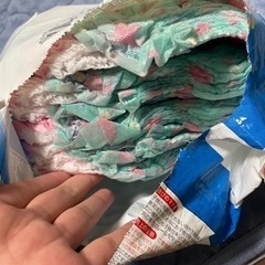 取引中　水遊びパンツの画像