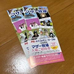 【最短即日発送】マザー牧場！入場ご招待券！2枚ペア千葉県富津市！...