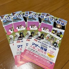 【最短即日発送】マザー牧場！入場ご招待券4枚セット千葉県富津市！...