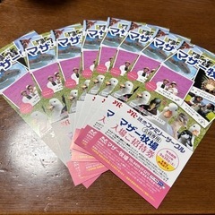 【最短即日発送】マザー牧場！入場ご招待券8枚セット千葉県富津市！...