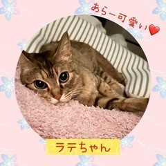 甘えん坊でヤキモチやきの女の子
