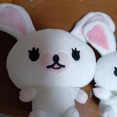 うさぎのモフィぬいぐるみ三点セットの画像