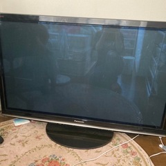 Panasonic VIERA R1 TH-P50R1
