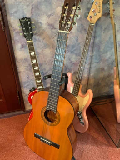 弦楽器、ギター guitar bass